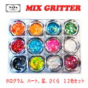 ミックス ホログラム ハート 星 サクラ 12色セット