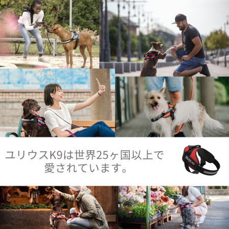 パワーハーネス Miniサイズ　小・中型犬用サイズ　犬　ハーネス　ユリウス　小型犬...