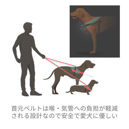 パワーハーネス Miniサイズ　小・中型犬用サイズ　犬　ハーネス　ユリウス　小型犬...