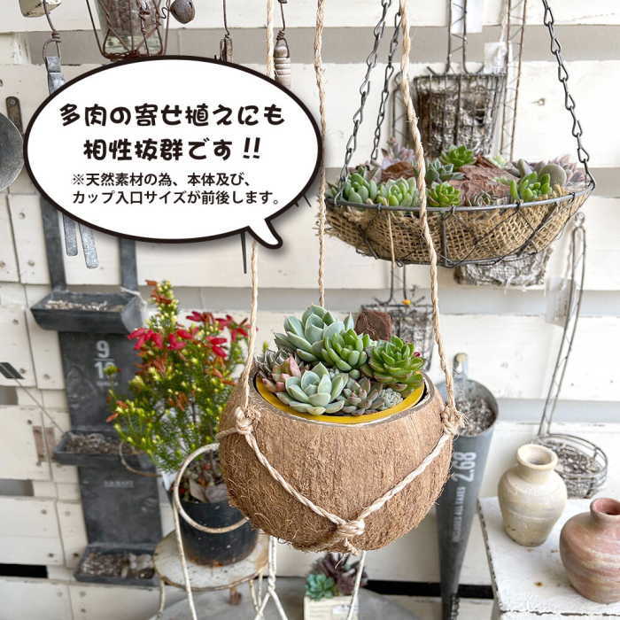 プランター・植木鉢