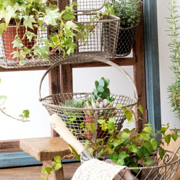 かご バスケット カゴ 籠 収納 植木 ガーデニング グレー 持ち手 取っ手付き 収納ボックス おしゃれ 小物入れ ワイヤーバスケット ガーデンバスケット 丸 金属 アイアン 鉄 インテリア アンティーク シャビー ジャンク 雑貨 2