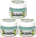 イオレイズ【ioraise】テラリウムジェル【100g】 お得な3個セット ペット 抗ウイルス 飼育用品 爬虫類 ゲージ内 消臭 抗菌 カビ対策 イオン 飼育ケ...