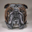 Edge Bulldog Bust 幅28x奥行28.5x32(cm) | 彫刻 置物 オブジェ フィギュア 動物 大きい リアル アート マット・バックリー 正規輸入品