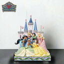 ディズニープリンセス 美と勇気 25.3cm 美女と野獣 アラジン 眠れる森の美女 ムーラン シンデレラ プリンセスと魔法のキス | ディズニー トラディション...
