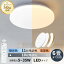 ֡ǰĩڳŷ50ãۥ󥰥饤  4000LM 6LED  Ĵ Ĵ ŵ忧   ŷ led饤ȥ⥳դ ޡǽ  Ҷ¼ մñ Ĵ10ʳ Ĵ11ʡפ򸫤