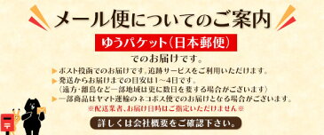 【送料無料】iPhone 11用マイクロドット ソフトクリアケース シンプルで使いやすい透明タイプ iPhone11ケース アイフォンイレブンケース スマホケース iPhone11カバー アイフォン11 ケース　デコ用にも最適 ソフトケース バックカバー 背面カバー ポイント消化