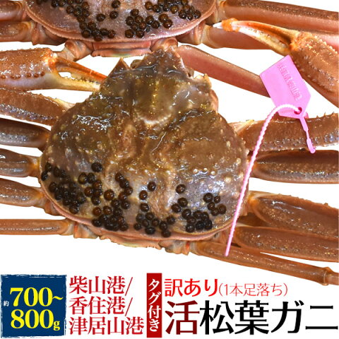 【送料無料】活松葉ガニ 700g前後 (ズワイガニ)産地証明タグ付き 足数1本不足 訳あり●贈り物 ギフト お取り寄せ 通販 国産 産地直送 産直 送料込み 山陰産（柴山港、津居山港、香住港、境港など） ブランド松葉蟹 松葉がに カニ ずわいがに わけあり　足取れ