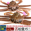 【送料無料】活松葉ガニ 2杯セット 700g～800g×2 ズワイガニ 産地証明タグ付き 贈り物 ギフト お取り寄せ 通販 お祝い 国産 内祝い 産地直送 産直 送料込み ブランド松葉蟹 松葉がに カニ ずわいがに かに 2匹 兵庫県産ブランド松葉ガニ産地水揚げ 柴山港 津居山港 香住港