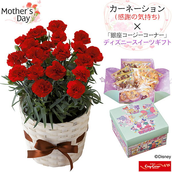 【送料無料】カーネーション(感謝の気持ち) ＆「銀座コージーコーナー」ディズニースイーツギフトセット カーネーションの鉢植えとスイーツのセット 父の日 ギフト 父の日 のプレゼント 人気 おやつ お菓子 デザート お花　贈り物　クッキー ショコラマドレーヌのサムネイル