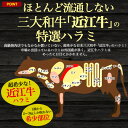 【送料無料】近江牛 特選ハラミ 360g 焼肉用 牛肉 贈答品 霜降り 鉄板焼き 贈答用 箱入り お祝い 送料込み 熨斗対応 のし対応　黒毛和牛 ブランド牛 国産 人気 バーベキュー 焼き肉 はらみ 誕生日 景品 冷凍配送 ブランド黒毛和牛　国産牛 腹身 希少 高級 特撰 3