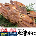 送料無料 訳あり 活き松葉ガニ 500g～600g×2杯セット 生松葉ガニ 二杯 産地直送 ズワイガニ マツバガニ カニ かに ブランド松葉がに ずわいがに 蟹水揚げ日本一 境港 産直 国産 日本海 国内水揚げ 訳アリ 足どれ 足折れ 未冷凍 刺身 ギフト プレゼント 贈答用 2匹【H】【K】