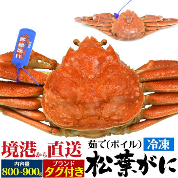 送料無料 松葉ガニ 800g〜900g前後 ボイル冷凍 ズワイガニ 産地証明タグ付き 山陰水揚げ 境港産 国産 贈り物 ギフト お取り寄せ 通販 お祝い 送料込み 松葉蟹 松葉がに かに カニ ずわいがに ボイル 茹で蟹 ブランド松葉ガニ まつばがに 釜茹で 鳥取県 島根県 1杯 1匹 一杯