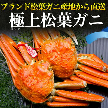 送料無料 松葉ガニ 800g〜900g前後 ボイル冷凍 ズワイガニ 産地証明タグ付き 山陰水揚げ 境港産 国産 贈り物 ギフト お取り寄せ 通販 お祝い 送料込み 松葉蟹 松葉がに かに カニ ずわいがに ボイル 茹で蟹 ブランド松葉ガニ まつばがに 釜茹で 鳥取県 島根県 1杯 1匹 一杯