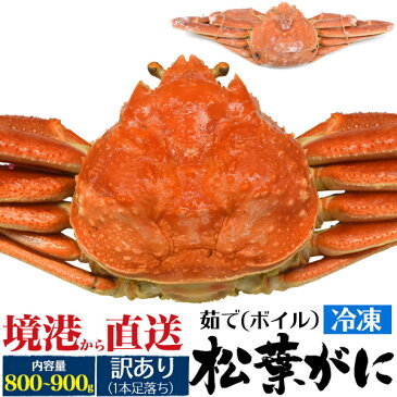 送料無料 訳あり 松葉ガニ 800g〜900g前後 1本足落ち ボイル冷凍 ズワイガニ 山陰水揚げ 境港産 国産 ギフト お取り寄せ 送料込み 松葉蟹 松葉がに かに カニ ずわいがに ボイル 茹で蟹 ブランド松葉ガニ まつばがに 釜茹で 鳥取県 島根県 1杯 1匹 一杯