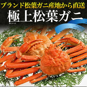 送料無料 訳あり 松葉ガニ 800g〜900g前後 1本足落ち ボイル冷凍 ズワイガニ 山陰水揚げ 境港産 国産 ギフト お取り寄せ 送料込み 松葉蟹 松葉がに かに カニ ずわいがに ボイル 茹で蟹 ブランド松葉ガニ まつばがに 釜茹で 鳥取県 島根県 1杯 1匹 一杯
