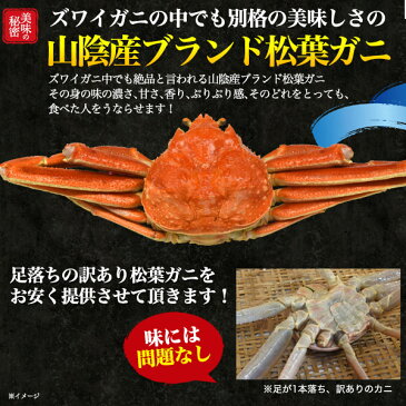 送料無料 訳あり 松葉ガニ 800g〜900g前後 1本足落ち ボイル冷凍 ズワイガニ 山陰水揚げ 境港産 国産 ギフト お取り寄せ 送料込み 松葉蟹 松葉がに かに カニ ずわいがに ボイル 茹で蟹 ブランド松葉ガニ まつばがに 釜茹で 鳥取県 島根県 1杯 1匹 一杯