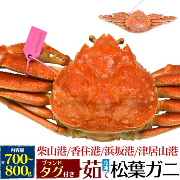 【送料無料】松葉ガニ 茹で冷凍 約700〜800g前後 ズワイガニ 産地証明タグ付き●贈り物 ギフト お取り寄せ 通販 お祝い 国産 送料込み 松葉蟹 松葉がに かに カニ ずわいがに ボイル 茹で蟹 ブランド松葉ガニ産地水揚げ 柴山港 津居山港 香住港 浜坂港 まつばがに 兵庫県