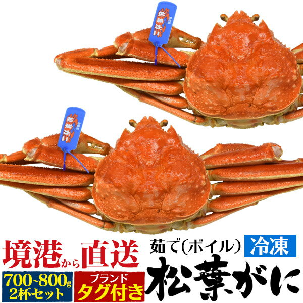 送料無料 松葉ガニ 約1.5kg 700g〜800g 2杯セット ボイル冷凍 ズワイガニ 産地証明タグ付き 山陰水揚げ 境港産 国産 贈り物 ギフト お取り寄せ お祝い 送料込み 松葉蟹 松葉がに かに カニ ずわいがに 茹で蟹 ブランド松葉カニ まつばがに 釜茹で 鳥取県 島根県 2杯 2匹 二杯