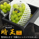 岡山県産 シャインマスカット「晴王」 贈答用 500g 送料無料1房 大粒 高糖度 お祝い 贈り物 誕生日 豪華 プレゼント 高級 御祝 熨斗 のし対応 フルーツ ぶどう 葡萄 ブドウ 厳選 ギフト ボックス ブランド 種なし 皮ごと食べられる はれおう 果物 箱入り 人気(4)