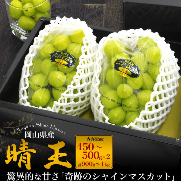 送料無料【 岡山県産 シャインマスカット「晴王」 贈答用 550g×2房 】計1.1kg 大粒 高糖度 お祝い 贈り物 誕生日 豪華 プレゼント 高級 御祝 熨斗 のし対応 フルーツ ぶどう 葡萄 ブドウ 厳選 ギフト ボックス ブランド 種なし 皮ごと食べられる はれおう 果物 敬老の日