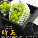 岡山県産 シャインマスカット「晴王」 贈答用 600g~900g 送料無料 1房/2房 奇跡のシャインマスカット 大粒 高糖度 贈答品 贈り物 豪華 プレゼント 高級 熨斗 のし対応 ぶどう 葡萄 ブドウ 厳選 ギフト ボックス 箱入り ブランド 種なし 皮ごと食べられる 最高糖度25度