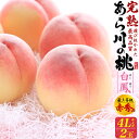 最上等級「 あら川の桃 白鳳 」4L 2玉 大玉サイズ 最上等級 完熟 赤秀品 糖度13度以上 赤秀品 和歌山県産 最高級ブランド 高糖度 幻の桃 箱入り ギフト あらかわの桃 熨斗対応 のし 贈答用 もも モモ ピーチ 希少 荒川の桃 はくほう 送料無料 お中元 御中元 予約
