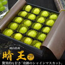 贈答用 岡山県産 シャインマスカット「晴王」 20粒 M/L/LLサイズ 送料無料 備前産 大粒 高糖度 最高糖度25度 お祝い 贈り物 誕生日 豪華 プレゼン...