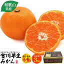 送料無料【 宮川早生みかん 最上等級 赤秀品 約3kg 】和歌山県産 代表品種 濃厚 お取り寄せ 通販 国産 送料込み フルーツ 果物 ミカン おすすめ 箱入り...