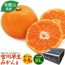 送料無料【 宮川早生みかん 最上等級 赤秀品 約10kg 】100〜115個 和歌山県産 代表品種 濃厚 お取り寄せ 通販 国産 送料込み フルーツ 果物 ミカ...