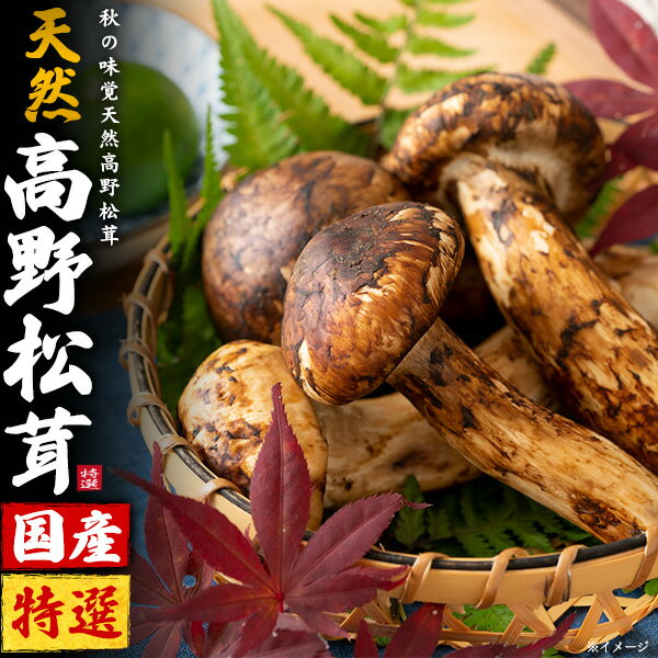 送料無料 天然国産 高野松茸 特選品 約200g / 約300g 希少 こうやまつたけ 最高級品 秋 ...
