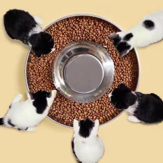Rakuten - 猫用　ボウル　フード 猫用 フード ボウル 飼育 大型 ライス トレイ 子猫用 犬用 専用 ステンレス製 特大 転倒 防止 ペット用