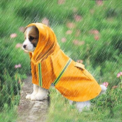 商品詳細 ブランド名 BlueRose fashion street 商品名 犬用レインコート 種別名称 レインコート（撥水/防湿/防水） サイズ S M L XL カラー NO1 グリーン NO2 ピンク NO3 ネイビー NO4 オレンジ NO5 イエロー 商品メリット ・散歩後のお手入れの軽減とワンちゃんの皮膚病予防に効果的。 ・体調不良を防ぐ！ ・雨の日でもお散歩を楽しもう！ ご使用上の注意 ●お肌に合わない場合や、かぶれ・かゆみ等を感じた場合はご使用を おやめください。 ●メーカーの生産時期や生産ロットにより、同じ商品でも色の出方（濃淡）や柄が多少異なる場合がございます。 また、撮影時の光の加減やお客様がお使いのモニターの影響などにより、 商品紹介画像の色と実際の商品の色が若干異なる場合もございます ●サイズは測り方により誤差が生じる場合がございます。 同じサイズでも色やデザインによって若干大きさが異なる場合もございます。 ●本来の目的以外でのご使用はおやめください。 素材 PU 生産国 MADE IN CHINA商品詳細 ブランド名 BlueRose fashion street 商品名 犬用レインコート 種別名称 レインコート（撥水/防湿/防水） サイズ S M L XL カラー NO1 グリーン NO2 ピンク NO3 ネイビー NO4 オレンジ NO5 イエロー 商品メリット ・散歩後のお手入れの軽減とワンちゃんの皮膚病予防に効果的。 ・体調不良を防ぐ！ ・雨の日でもお散歩を楽しもう！ ご使用上の注意 ●お肌に合わない場合や、かぶれ・かゆみ等を感じた場合はご使用を おやめください。 ●メーカーの生産時期や生産ロットにより、同じ商品でも色の出方（濃淡）や柄が多少異なる場合がございます。 また、撮影時の光の加減やお客様がお使いのモニターの影響などにより、 商品紹介画像の色と実際の商品の色が若干異なる場合もございます ●サイズは測り方により誤差が生じる場合がございます。 同じサイズでも色やデザインによって若干大きさが異なる場合もございます。 ●本来の目的以外でのご使用はおやめください。 素材 PU 生産国 MADE IN CHINA