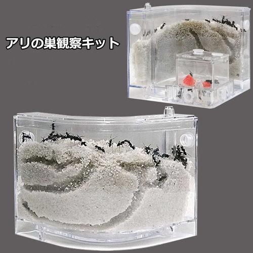 アリの巣 あり観察キット アリの巣観察キット アリ 巣 観察 飼育ケース 砂 自由研究 小学生 キット あり 蟻 飼育セット 実験セット 観察