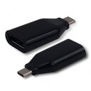 変換コネクタ USB-C DP 映像伝達 4K 2K 高画質対応 WT-CCDP-BK USB3.1 TYPE-C(オス) - DISPLAY PORT(メス) PC用変換コネクタ 60Hz バルク梱包 4995