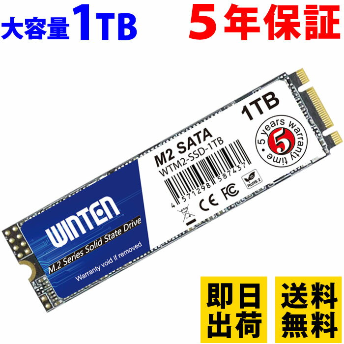 SSD M.2 1TB【5年保証 即日出荷 送料無料 ドライ