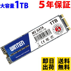 【ポイント2倍】SSD M.2 1TB【5年保証 即日出荷 送料無料 ドライバー付】WTM2-SSD-1TB M.2 2280 SATA 3D NANDフラッシュ搭載 片面実装 B&M Key 日本語パッケージ 説明書 保証書付き エラー訂正機能 省電力 衝撃に強い 内蔵型SSD 6085