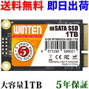 SSD mSATA 1TB【5年保証 即日出荷 送料無料】WTMSATA-SSD-1TB mSATA SATA 3D NANDフラッシュ搭載 日本語パッケージ 説明書 保証書付き エラー訂正機能 省電力 衝撃に強い 内蔵型SSD 6128