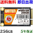 SSD mSATA 256GBWTMSATA-SSD-256GB mSATA SATA 3D NANDフラッシュ搭載 日本語パッケージ 説明書 保証書付き エラー訂正機能 省電力 衝撃に強い 内蔵型SSD 6126