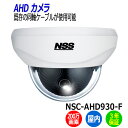 NSS 防犯カメラ ドーム型 NSC-AHD930-F 屋内 200万画素 業務用 監視カメラ フルHD AHDドームカメラ アパート マンション ビル 会社 店舗 自宅 入り口 【送料無料】