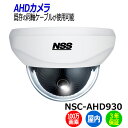 NSS 防犯カメラ ドーム型 NSC-AHD930 屋内 100万画素 業務用 監視カメラ AHDドームカメラ アパート マンション ビル 会社 店舗 自宅 送料無料