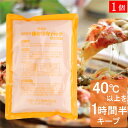 保温剤 ほかほかパック スノーパック 保温 500g 1個 2個 3個 10個 日本製 国産 温める あったか デリバリー フードデリバリー ピザ お弁当 カイ...