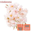 siawadeky 桜の花 造花 20本セット 100輪花 桜の花びら 春の花 絹花 シルク花 枯れない花 花輪 ヘアアクセサリー DIY 人工造花 フェイクフ...
