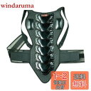 南海部品(NANKAI) バイク用 レーシングバックプロテクターZEZTON2 ロング FREE NBP5