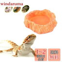 ledmomo 爬虫類 両生類 飼育ケース アクセサリー お皿 お盆 食器 餌入り ウォーターディッシュ ジェックス フィーディングディッシュ 亀 ヤモリ