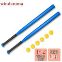 Hikeen 野球バット プラスチックバット 野球 練習用 学習用 バット 子供用 ティーンエイジャー 軽量 滑り止め付き ホームランセット 甲子園 2本セット...