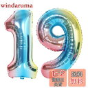 Vthoviwa 40インチ バルーンアルミ19 / 91 ヘリウム風船 数字バルーン19 / 91花青 0123456789,10-19,20-29,30,40,50,60,70,80,90,100 誕生日 カーニバル 飾り付け記念日パーティー装飾花青19 / 91 男女兼用 大きい しじヘリウム