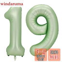 Vthoviwa 40インチ 19 / 91風船数字 バルーン19 / 91緑 0123456789,10-19,20-29,30,40,50,60,70,80,90,100 誕生日 カーニバル 飾り付け記念日パーティー装飾緑19 / 91 男女兼用 大きい しじヘリウム
