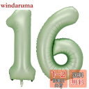 Vthoviwa 40インチ 16 / 61風船数字 バルーン16 / 61緑 0123456789,10-19,20-29,30,40,50,60,70,80,90,100 誕生日 カーニバル 飾り付け記念日パーティー装飾緑16 / 61 男女兼用 大きい しじヘリウム