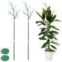 【Charming Club】園芸支柱 モンステラ 支柱 観葉植物 植物サポート モンステラフラワースタンド 花支架 ガーデニング支柱 長期間使用 農業用 園芸...
