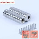 強力磁石 マグネット 穴あき 超強力 専用ネジ付き 丸型磁石 直径10mm 厚み2.5mm 20個セット